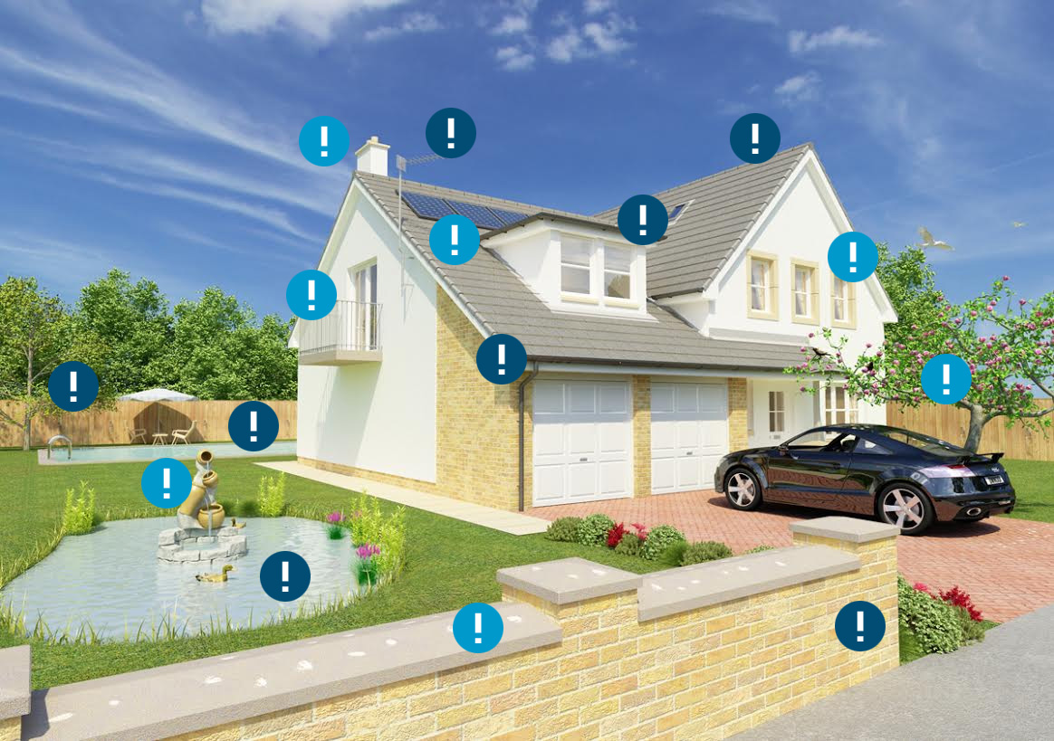 Solve My Bird Problem